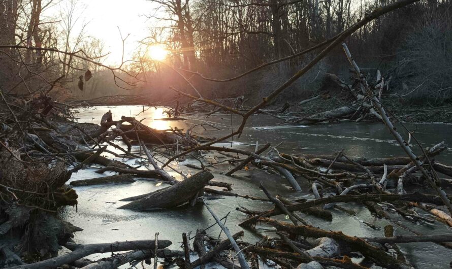 Sonnenuntergang an der Eislacke